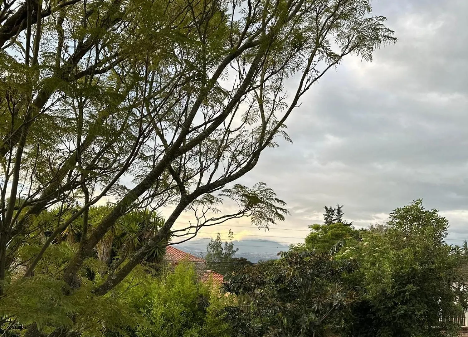 Suite Puembo Bella Stella Quito Ecuador