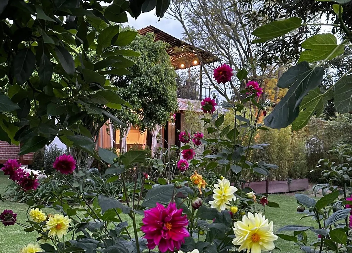 Apartamento Suite Puembo Bella Stella Quito Ecuador